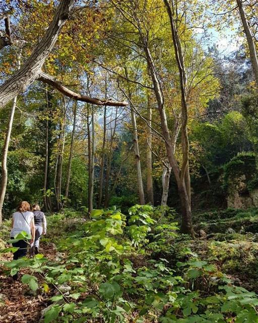 Let's get lost in this beautiful mountain. JabalMoussa  unescomab  unesco...