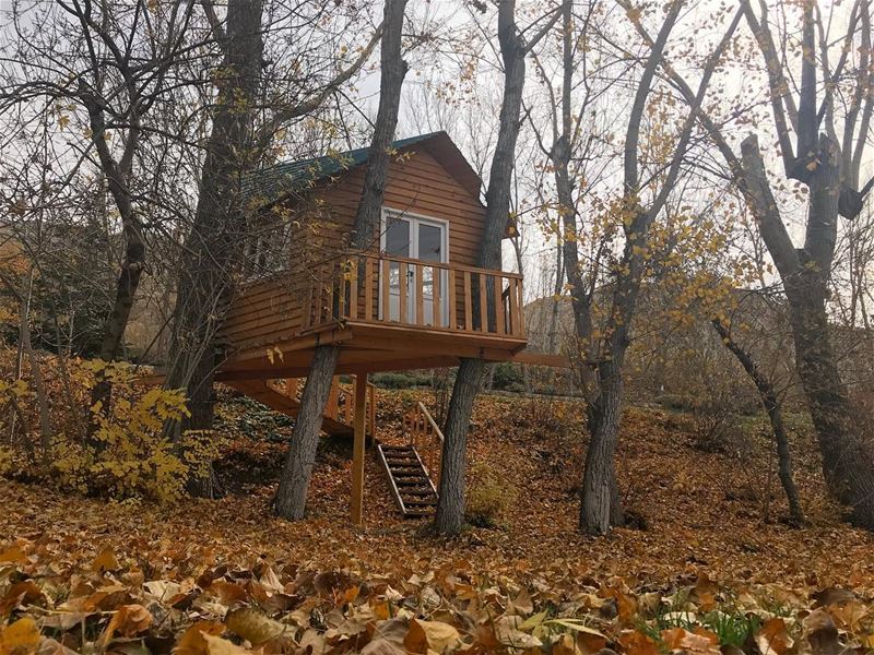 Let’s give up on society and build treehouses instead 😍😍