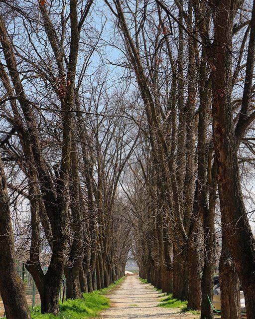 Let's go somewhere. livelovebekaa ptk_lebanon super_lebanon... (Deïr Taanâyel, Béqaa, Lebanon)