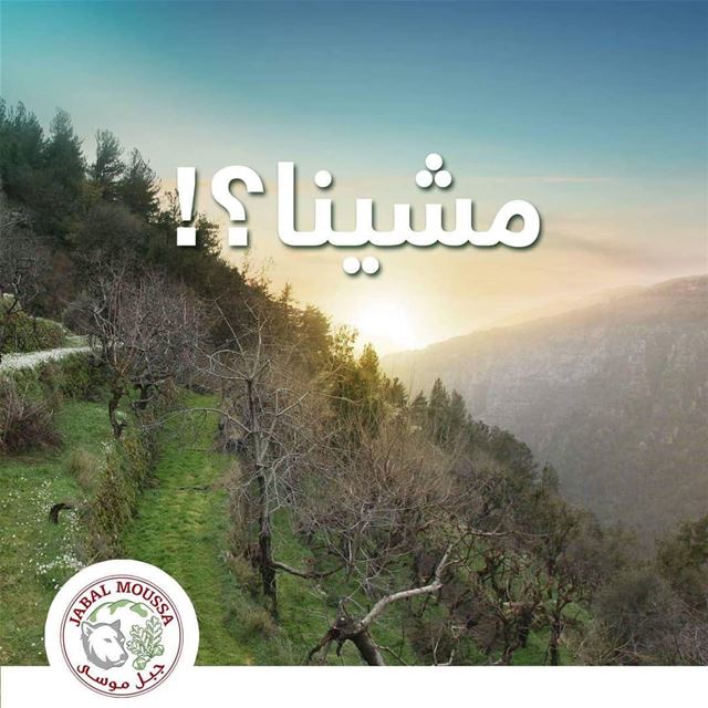 Let's go to  JabalMoussa? ~ مشينا؟ unescomab  unesco  biospherereserve ...
