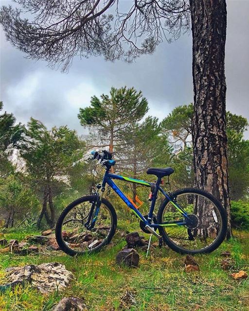 Let's have a ride 😃 Good Morning from Baskintaصباح الخير من بسكنتا... (Baskinta, Lebanon)