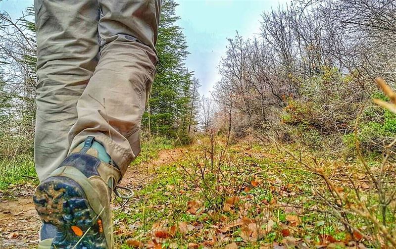 Let's hike  weekend  tb  outdoors  beautiful  instadaily  picoftheday ...