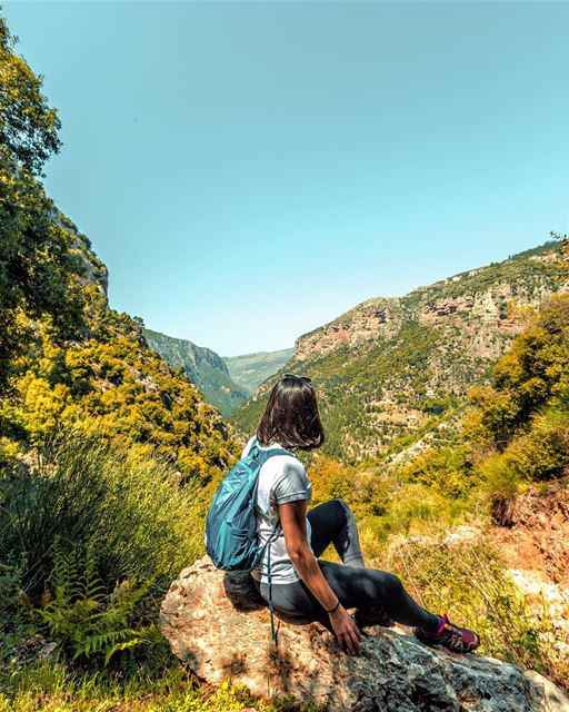 let’s just see where these mountains will take us ⛰........ (Lebanon)