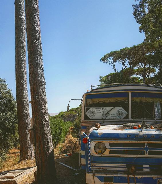 Let's run away?... vanlife  bus  forest  countrylife  relaxing ... (Ra'S Al Matn, Mont-Liban, Lebanon)