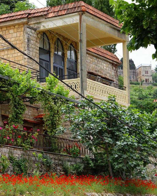 Let's start the day on a controversial note: no electric cable ever ruined... (Beit Ed-Deen, Mont-Liban, Lebanon)