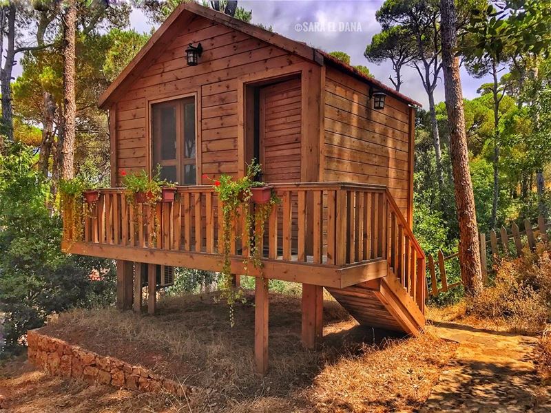 Let's stay at home for the weekend! 🐍 (La Maison de la Forêt)
