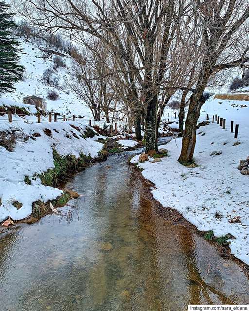 Let’s wander! ❄️ (El Laklouk, Mont-Liban, Lebanon)