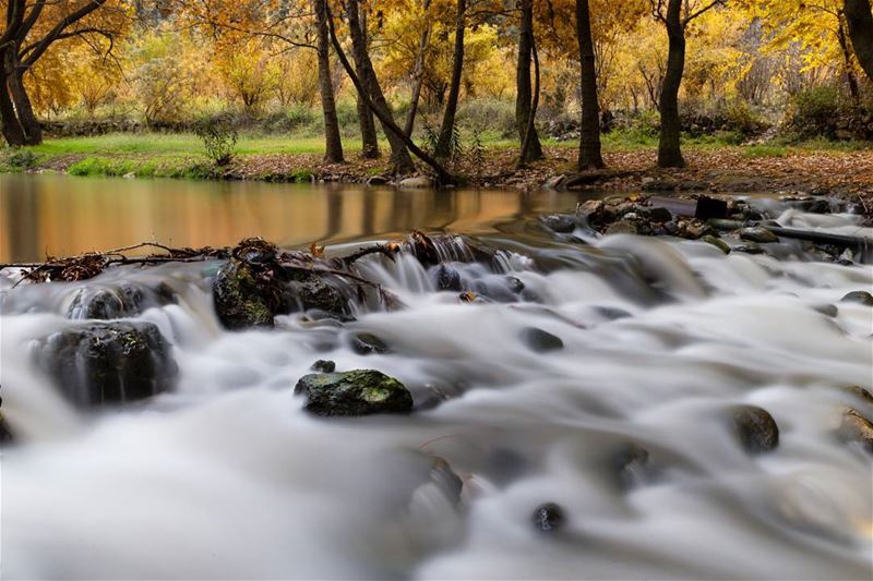 Let the rhythm of the water set your soul free.. ............ (Ouyoun El Samak Waterfalls)