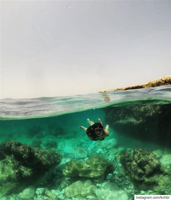 Let the  sea set you free🌊  oceanholic  underwater  snorkling  goexplore ...