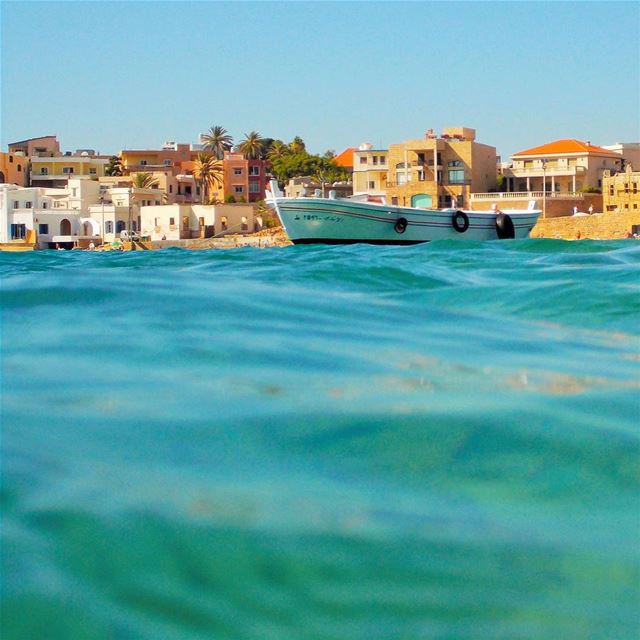 Let the sea, set you FREE ﻟﺒﻨﺎﻥ Batroun  liban  Phenicians  ig_lebanon ...