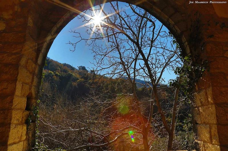 Let the sunrise of every morning bring you the light of love and joy!  sun...