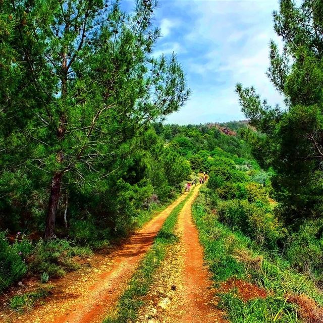 Let the trail be your guide...Explore Hiking in Aito North Lebanon this... (Aïtou, Liban-Nord, Lebanon)