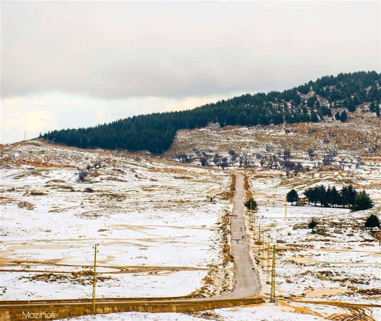 Let The Winter Begin.. 😍 -_-_-_-_--_-_-_-_-_-_-_-_ snow winter snowy... (Falougha, Mont-Liban, Lebanon)