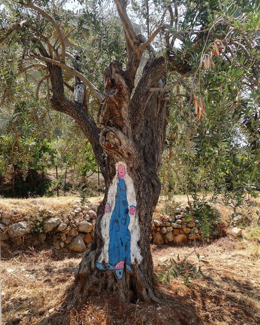💙🍃"Let us be kind without weakness, humble without groveling... Be... (Kfar Yâchît, Liban-Nord, Lebanon)