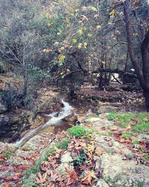 Let us live for the beauty of our own reality  nature  natureperfection ...