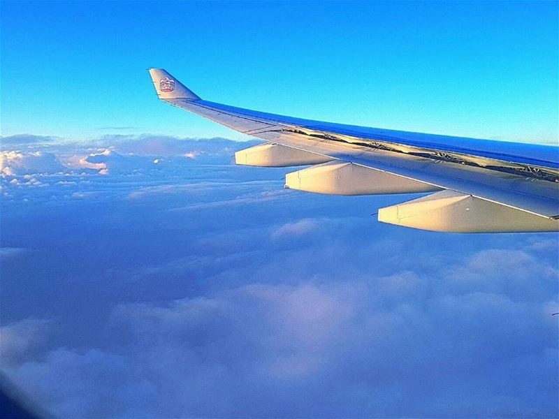 × Let your dreams take flight and embrace new beginnings ×
