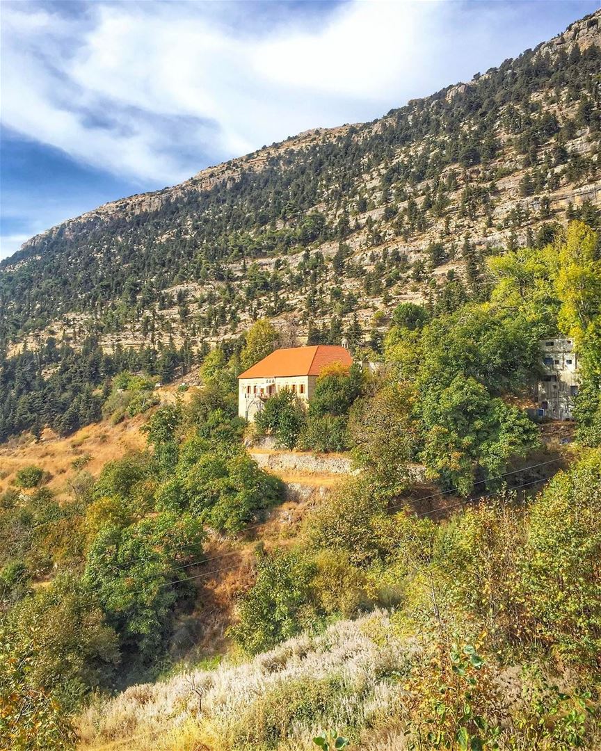 Let yourself become living Poetry - Rumi... (Ehden, Lebanon)