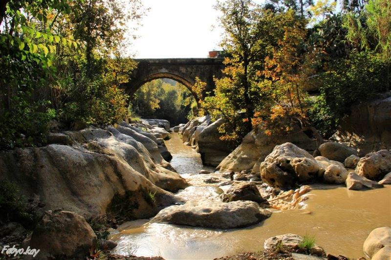 =============================== libano nature naturelovers trees  water... (Chouf)