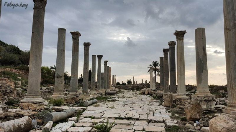 ------------------------------------------------------------------ libano... (Tyre, Lebanon)