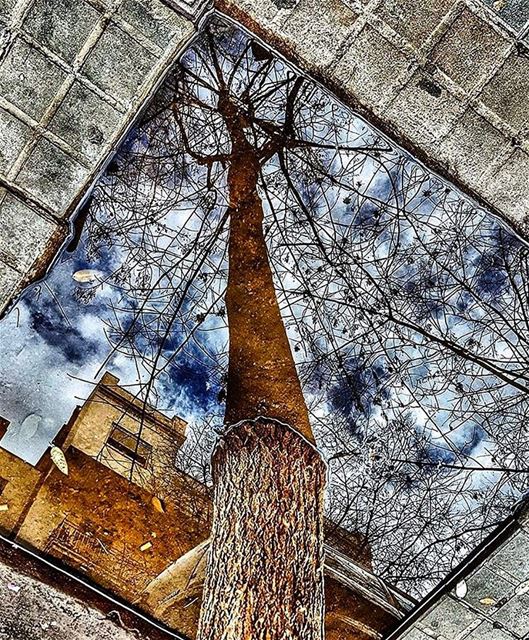 Life can only be understood backwards,but it must be lived... (Joünié)