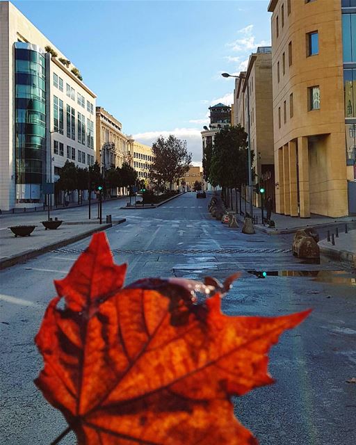Life colours after the rain..🍁🌞🍁By @truewealth_manal_tamim ... (Downtown Beirut)