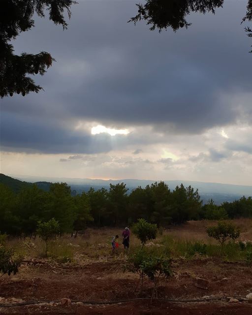 Life doesn't come with a manual, it comes with a mother 👸🏼.......... (Karm Saddé, Liban-Nord, Lebanon)