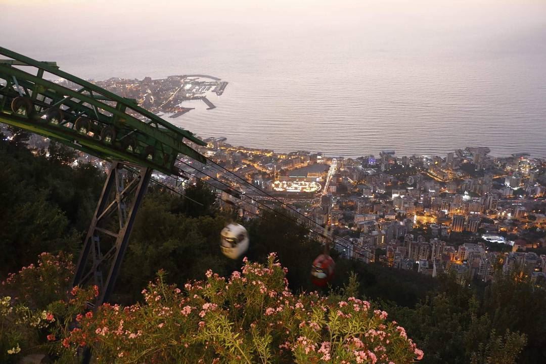 Life goes by with its joy and light as we live through it like the... (Harissa Teleferque)