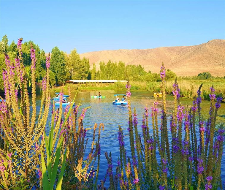  Life in  Color. 🌱🏵 LiveLoveBekaa... (Wadi Shamsine Restaurant Anjar)