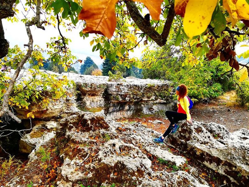 Life in orange and yellow 🍁🍂  lebanon  ourplanetdaily   travel ... (North Governorate)