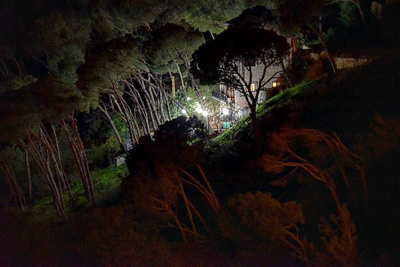 Life In the middle of the forest ☺ lebanesehouse  lebanon  beitmery ... (Beit Meri, Mont-Liban, Lebanon)