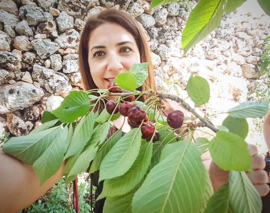 Life is a bowl of cherries ...Except some of them are sour  🇱🇧 ... (Tannurin Al Fawqa, Liban-Nord, Lebanon)