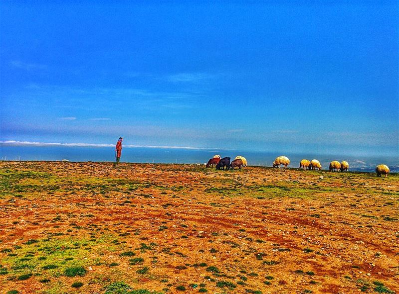 Life is a journey, photography is thy shepherd (Destin Sparks). 🤘🌏🌄🇱🇧� (El Ghîné, Mont-Liban, Lebanon)