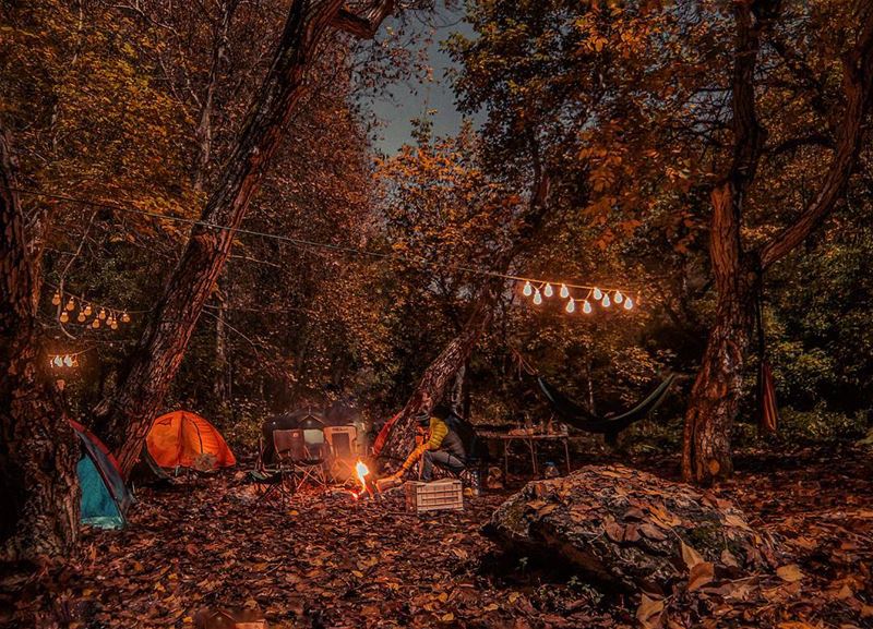 Life is better around the campfire⛺🔥.... camping camp campfire trees...