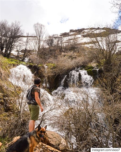 Life is either a daring adventure, or nothing. Oh and my dog poses better... (لبنان)