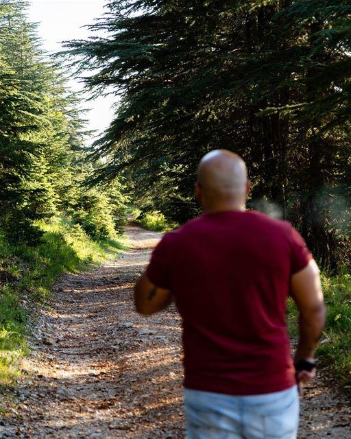  Life is full of  adventure .There is no such thing as a clear  pathway !... (Aïn Zhalta, Mont-Liban, Lebanon)