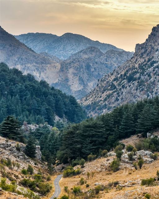 Life is like mountains. For every peak there is a valley ⛰️⛰️ lebanon ... (Arz Tannoûrîne)