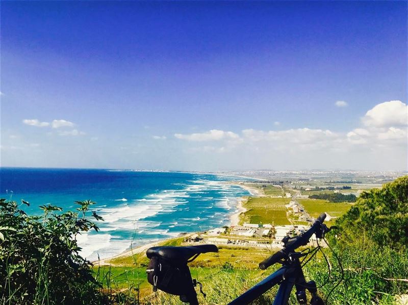 Life is like riding a bicycle. To keep your balance, you must keep moving.... (South Governorate)