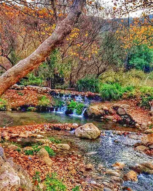 Life is like the flowing river. You can't touch the same water twice and...