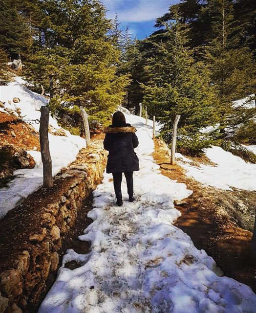 Life is like walking through the snow: every step shows.Jessy Lair ... (El Arz, Liban-Nord, Lebanon)
