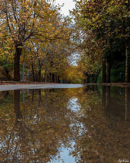 Life is only a reflection of what we allow ourselves to see.......... (Sawfar, Mont-Liban, Lebanon)