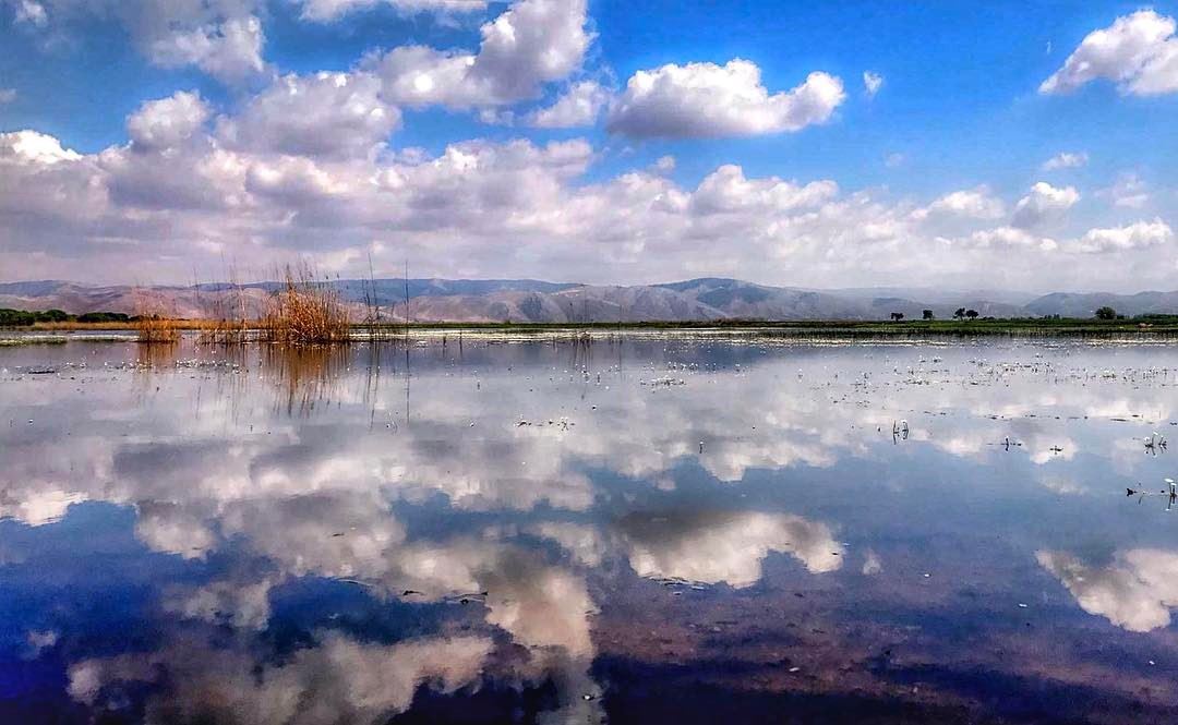 Life is only a reflection of what we allow ourselves to see! 🐍 ... (`Ammiq, Béqaa, Lebanon)