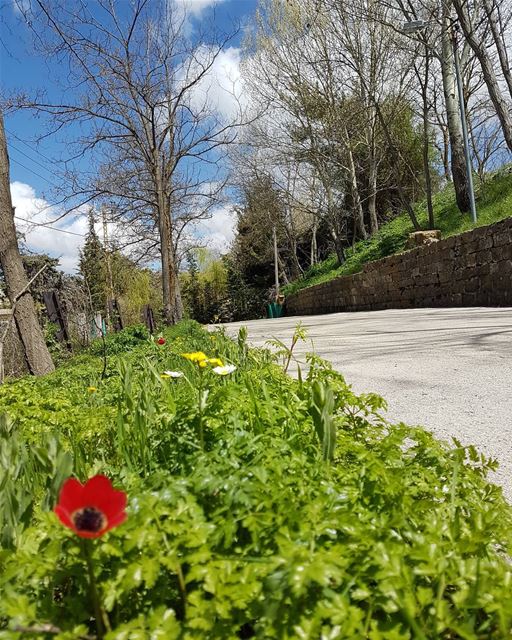 Life is too short...Live its beauty  ig_lebanon  insta_lebanon ...