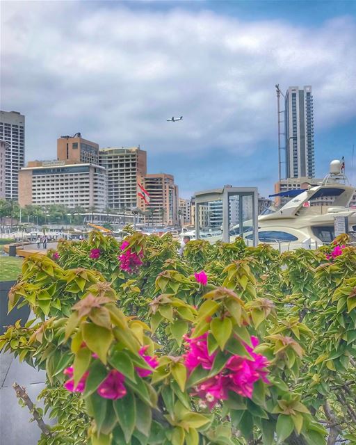 Life loves to be taken by the lapel and told: "I'm with you kid. Let's go"... (Beirut, Lebanon)