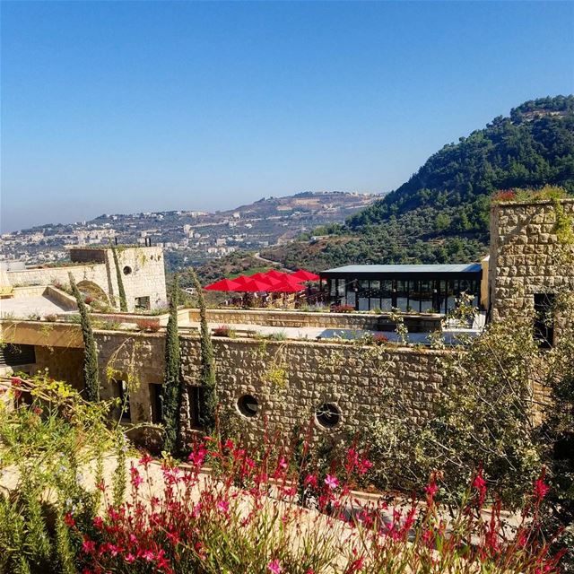 Life-prolonging view to wake up to bkerzay  lebanon  liban  libanais ... (Bkerzay)