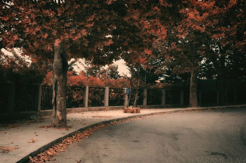 Life starts all over again when it gets crisp in the fall...🍁✨ Have a... (Sawfar, Mont-Liban, Lebanon)