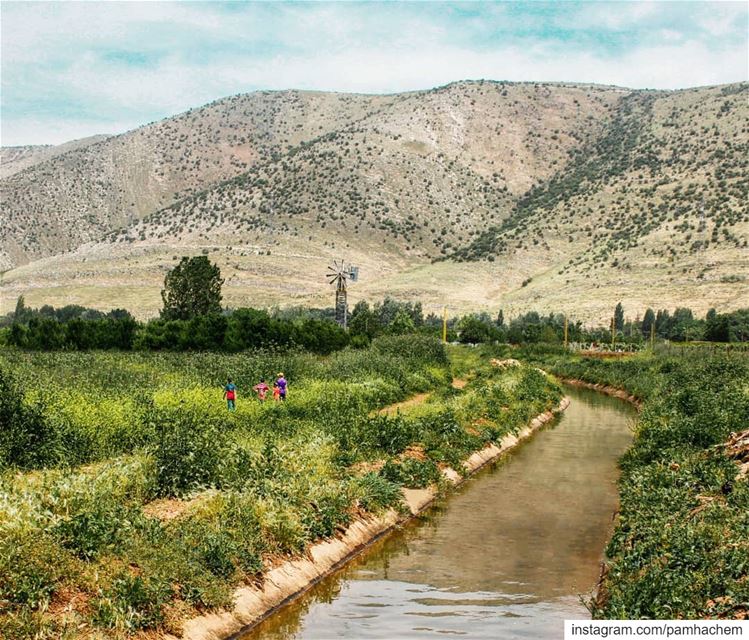 Life without internet 🌿🍃... (`Anjar, Béqaa, Lebanon)