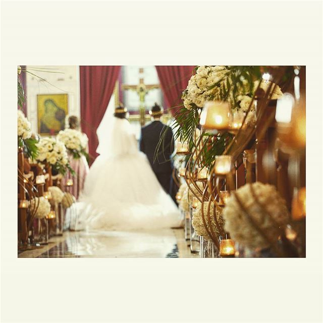  lifetimestorieslb  photography  eventplanner  eventplanning ... (lifetime stories lb)