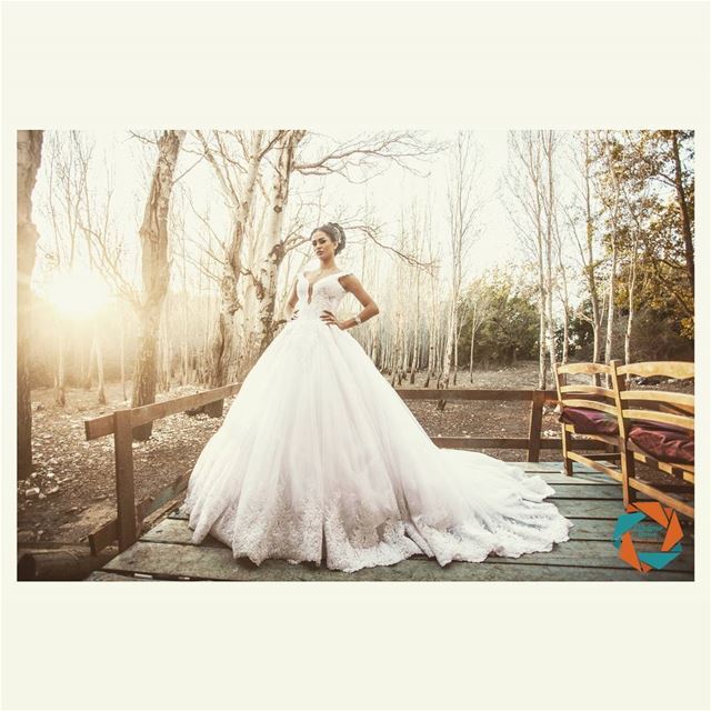  lifetimestorieslb  photography  eventplanning  weddingdress  bridedress ...