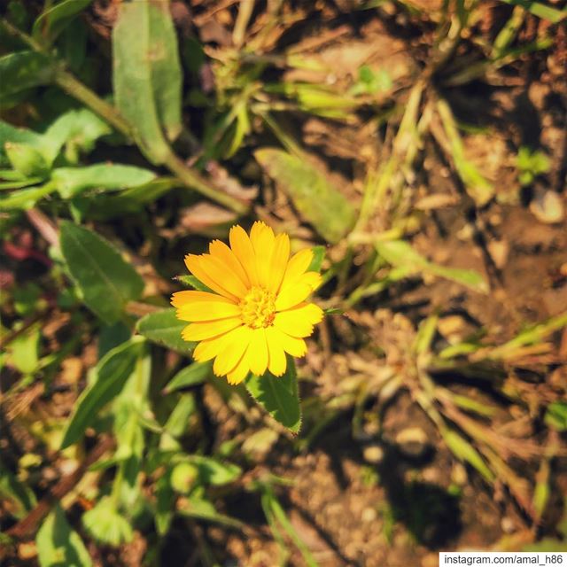 Light up the heart of the person whose smile doesn’t reach his eyes. ... (Ra'S Nhash, Liban-Nord, Lebanon)