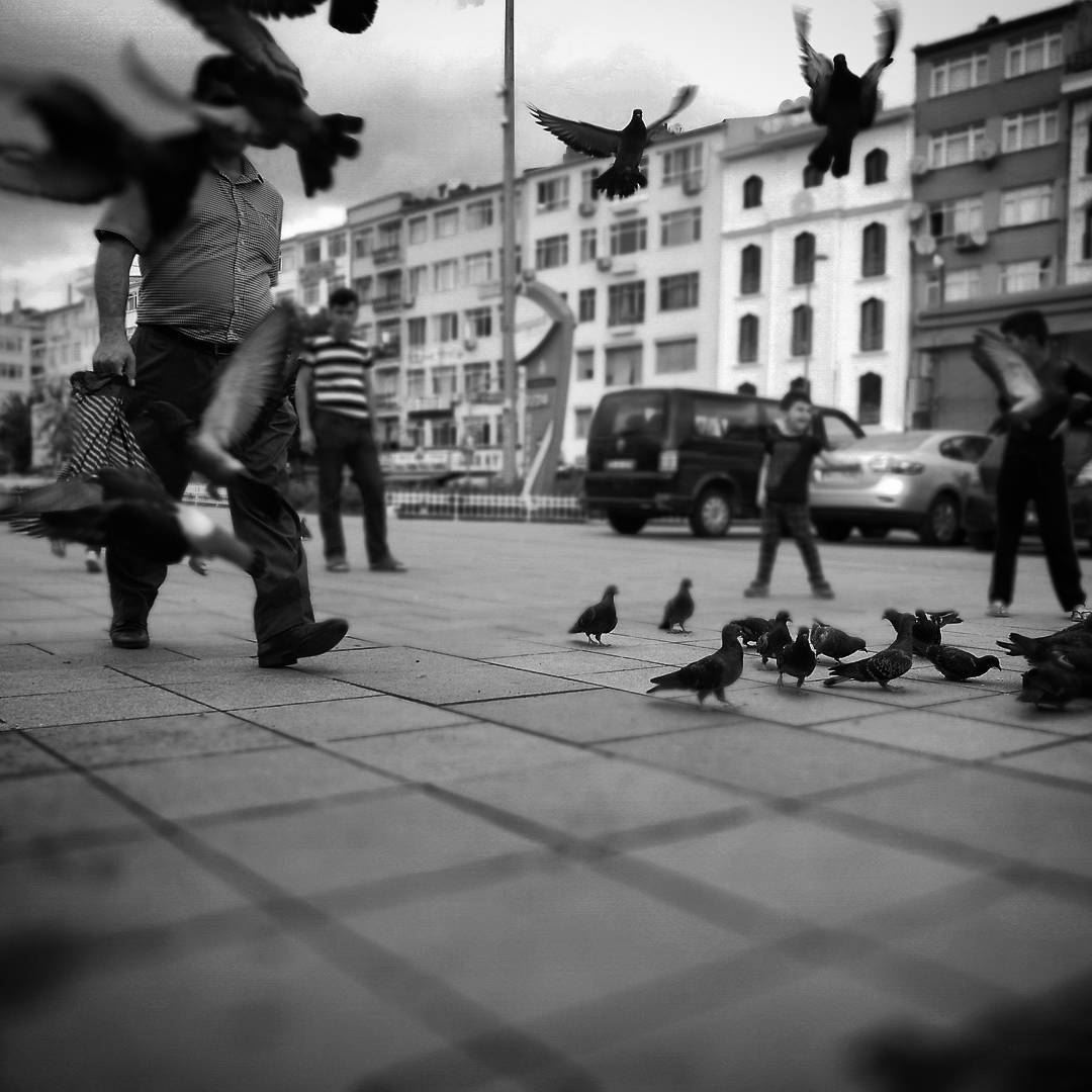 Like a bird in the city -  ichalhoub in  Istanbul  Turkey shooting with a...